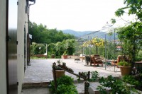 /album/i-fiori-di-casa-acquarella/a2a-img-8524-r-jpg/